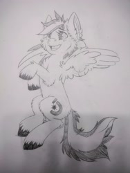 Size: 3000x4000 | Tagged: safe, artist:annuthecatgirl, derpibooru import, oc, oc:anti-lag, pegasus, sketch, solo, traditional art