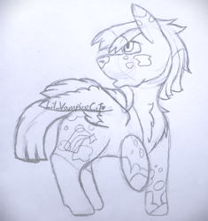 Size: 1880x2000 | Tagged: safe, artist:lil_vampirecj, derpibooru import, oc, oc only, pegasus, pony, chest fluff, feral, fluffy, full body, fur, hair, hooves, male, mane, neck fluff, simple background, sketch, solo, tail, tail fluff, traditional art, white background, wings