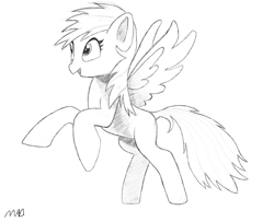 Size: 3072x2500 | Tagged: safe, artist:maonyman, derpibooru import, rainbow dash, pegasus, pony, g4, black and white, digital art, female, grayscale, happy, mare, monochrome, open mouth, pencil, practice, rearing, reference used, shading, simple background, smiling, solo, spread wings, white background, wings
