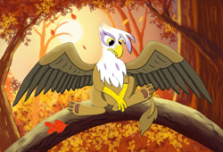 Size: 3033x2058 | Tagged: safe, artist:jack-varus, derpibooru import, gilda, griffon, g4, autumn, crying, female, forest background, leaves, sad, solo, tree branch