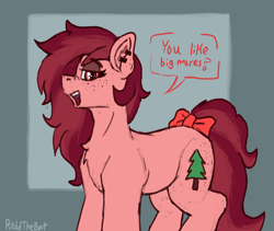Size: 1648x1390 | Tagged: safe, artist:reddthebat, derpibooru import, oc, oc only, oc:red woods, earth pony, pony, bow, chest freckles, dialogue, female, freckles, lidded eyes, mare, open mouth, open smile, smiling, solo, tail, tail bow, talking to viewer