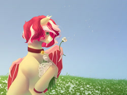 Size: 1280x960 | Tagged: safe, artist:unten, derpibooru import, oc, oc only, bat pony, bell, bell collar, collar, commission, dandelion, female, field, flower, mare, solo