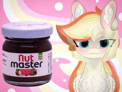 Size: 3720x2790 | Tagged: safe, artist:sodapop sprays, derpibooru import, oc, oc only, oc:sodapop sprays, pegasus, pony, chest fluff, ear fluff, ears, freckles, looking at you, meme, nutmaster, solo