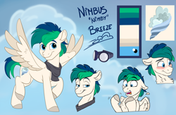 Size: 3450x2250 | Tagged: safe, artist:rutkotka, derpibooru import, oc, oc only, oc:nimbus breeze, pegasus, character design, clothes, cutie mark, embarrassed, goggles, male, panicking, pegasus oc, reference sheet, scarf, smug, stallion