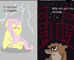 Size: 1073x873 | Tagged: artist needed, source needed, safe, derpibooru import, fluttershy, pegasus, pony, raccoon, g4, city, crossover, crossover shipping, crying, duo, duo male and female, female, lightning, male, mare, meme, night, rain, regular show, rigby (regular show), sad, ship, shipping