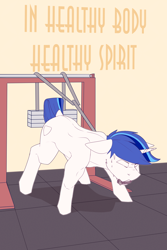 Size: 2400x3600 | Tagged: safe, artist:chapaevv, derpibooru import, shining armor, pony, unicorn, g4, gym, male, patreon, patreon reward, solo, text, training, workout