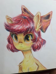 Size: 1200x1600 | Tagged: safe, artist:club204063013, derpibooru import, apple bloom, earth pony, pony, alternate hairstyle, bust, female, filly, foal, photo, portrait, short hair, solo, traditional art