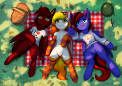 Size: 4453x3149 | Tagged: safe, artist:mrscroup, derpibooru import, oc, oc only, oc:starfyre, pegasus, pony, basket, chest fluff, clothes, featureless crotch, grass, helmet, hoodie, human shoulders, leaves, lying down, picnic, picnic basket, picnic blanket, pointing, shirt, socks, striped socks, trio