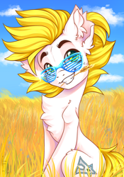 Size: 1668x2388 | Tagged: safe, alternate version, artist:falafeljake, derpibooru import, oc, oc only, oc:alabastor amril, earth pony, pony, chest fluff, cloud, commission, cute, ear fluff, ears, earth pony oc, eyebrows, field, food, grin, looking at you, mouth hold, ocbetes, shutter shades, signature, sitting, sky, smiling, smiling at you, solo, straw in mouth, sunglasses, ukraine, wheat, ych result