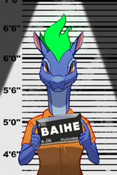 Size: 600x900 | Tagged: safe, artist:hitsuji, derpibooru import, edit, tianhuo, anthro, dragon, hybrid, longma, them's fightin' herds, baihe (tfh), community related, looking at you, mugshot, solo