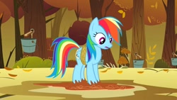 Size: 1280x720 | Tagged: safe, derpibooru import, screencap, rainbow dash, pony, fall weather friends, g4, bound wings, bucket, mud, solo, wings