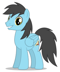 Size: 3200x3865 | Tagged: safe, artist:creedyboy124, derpibooru import, oc, oc only, oc:seong lee, pegasus, male, simple background, smiling, solo, stallion, transparent background, vector