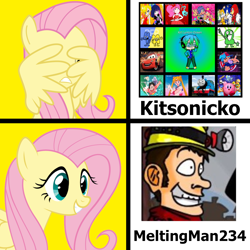 Size: 1300x1300 | Tagged: safe, fluttershy, pegasus, pony, g4, anti-kitsonicko, exploitable meme, meme, offsite drama