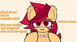 Size: 1788x984 | Tagged: safe, anonymous artist, derpibooru import, oc, oc:swing shift, bat pony, pony, ear tufts, female, looking at you, mare, messy mane, pregnancy test, pregnant, simple background, solo, talking, talking to viewer, text