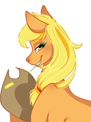 Size: 624x835 | Tagged: safe, artist:symphstudio, derpibooru import, applejack, pony, hat, simple background, solo, white background