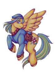 Size: 600x825 | Tagged: safe, artist:therabbitfollower, derpibooru import, oc, oc only, oc:helpie hooves, pegasus, pony, bag, clothes, flying, medical saddlebag, simple background, solo, sweater, transparent background