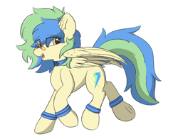 Size: 4971x3900 | Tagged: safe, alternate version, artist:hcl, derpibooru import, oc, oc only, oc:hcl, pegasus, pony, bandaid, bandaid on nose, simple background, solo, white background
