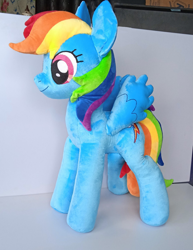 Size: 1909x2477 | Tagged: safe, artist:lnzz, derpibooru import, rainbow dash, oc, pegasus, pony, photo, rainbow, solo