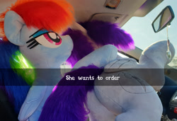 Size: 3321x2268 | Tagged: safe, artist:ponimalion, derpibooru import, rainbow dash, oc, oc:morning glory (project horizons), pegasus, pony, fallout equestria, fallout equestria: project horizons, bedroom eyes, butt, butt focus, car, car interior, duo, female, he wants to order, interior, irl, lidded eyes, life size, mare, meme, photo, plot, plushie, selfie, smiling, tail