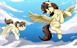 Size: 4150x2620 | Tagged: safe, artist:singovih, derpibooru import, oc, oc only, oc:motley cloud, pegasus, pony, fallout equestria: parallelism, cute, eye contact, female, flying, heterochromia, looking at each other, looking at someone, mare, siblings, sisters, sky, smiling, spread wings, wings