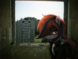 Size: 1280x960 | Tagged: safe, artist:menalia, derpibooru import, oc, oc only, earth pony, pony, aside glance, building, city, clothes, day, earth pony oc, female, hair over one eye, indoors, irl, jacket, looking at you, mare, pants, photo, plattenbau, ponies in real life, shirt, solo, standing, unnamed oc, uptown, window