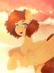 Size: 768x1024 | Tagged: safe, derpibooru import, oc, oc:yuris, pegasus, pony, flying, freckles, glasses, open mouth, sky, smiling, solo, sunset, trade