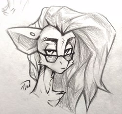 Size: 3921x3678 | Tagged: safe, artist:tlen borowski, derpibooru import, oc, oc:star dust, pegasus, black and white, bust, chest fluff, commission, ear piercing, eyebrows, femboy, glasses, grayscale, grin, long mane, looking at something, loose hair, male, monochrome, piercing, portrait, sketch, smiling, solo, sternocleidomastoid, traditional art