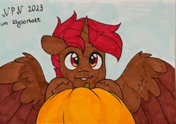 Size: 3132x2200 | Tagged: safe, artist:skysorbett, derpibooru import, oc, oc:hardy, alicorn, pony, :p, looking at you, male, marker drawing, pumpkin, solo, spread wings, stallion, tongue, tongue out, traditional art, wings