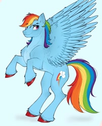 Size: 858x1064 | Tagged: safe, artist:mayka-7, derpibooru import, rainbow dash, pegasus, pony, g4, concave belly, female, leg fluff, mare, rearing, redesign, solo, spread wings, unshorn fetlocks, wings