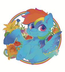 Size: 1500x1651 | Tagged: safe, artist:noblecrumble, derpibooru import, rainbow dash, pegasus, g4, bust, cider, flower, portrait