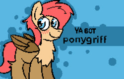 Size: 1280x819 | Tagged: safe, artist:pzkratzer, derpibooru import, oc, oc only, oc:ponygriff, gradient background, ponygriff, solo, ya got