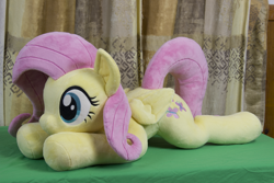 Size: 5184x3456 | Tagged: safe, artist:azgchip, derpibooru import, fluttershy, pegasus, pony, g4, cute, female, irl, lying down, mare, photo, plushie, prone, shyabetes, solo, sploot