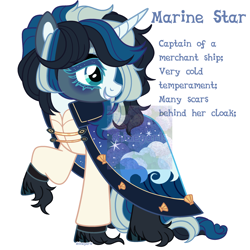 Size: 2500x2500 | Tagged: safe, artist:shineyaris, derpibooru import, oc, oc only, pony, unicorn, g4, cloak, clothes, glitter, gold jewerly, night, night sky, shells, simple background, sky, solo, white background