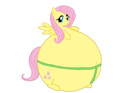 Size: 3264x2448 | Tagged: safe, artist:simonstudio587, derpibooru import, fluttershy, pegasus, pony, g4, female, inflation, looking at you, mare, simple background, solo, spread wings, sumo, transparent background, wings