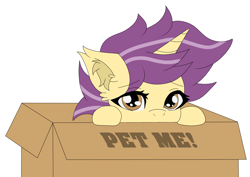 Size: 4092x2893 | Tagged: safe, artist:sadpanda1268, derpibooru import, oc, oc only, pony, box, pony in a box, simple background, solo, white background