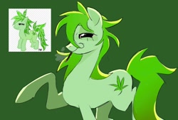 Size: 1242x842 | Tagged: safe, artist:clowncarpal, derpibooru import, oc, oc only, oc:stoney poney, earth pony, pony, drug use, drugs, female, green background, joint, mare, marijuana, raised hoof, raised leg, simple background, smoking, solo