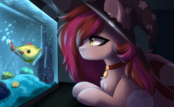 Size: 3727x2286 | Tagged: safe, artist:alunedoodle, derpibooru import, oc, oc only, bat pony, fish, pony, aquarium, bubble, female, fins, fish tail, golden eyes, hat, jewelry, looking at something, looking to side, looking to the left, not roseluck, pendant, solo, swimming, tail, tooth, two toned mane, underwater, water, wings