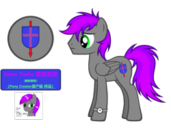 Size: 4377x3295 | Tagged: safe, artist:equestria secret guard, derpibooru import, oc, oc only, oc:saien yesha, oc:赛恩夜煞, pegasus, pony, cutie mark, male, pegasus oc, pony oc, simple background, stallion, transparent background, wings