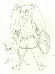 Size: 2212x2965 | Tagged: safe, artist:darthalex70, derpibooru import, oc, oc only, oc:duskclaw, griffon, armor, chainmail, fantasy, griffon oc, male, shield, sketch, solo, standing, sword, traditional art, weapon