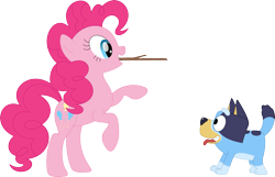 Size: 3573x2297 | Tagged: safe, artist:porygon2z, derpibooru import, pinkie pie, dog, earth pony, pony, g4, australian cattle dog, bluey, bluey heeler, crossover, cute, diapinkes, duo, duo female, female, fetch, mare, simple background, stick, tongue, tongue out, transparent background