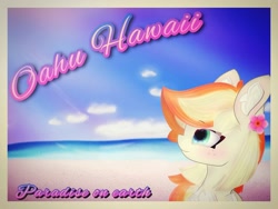 Size: 2160x1620 | Tagged: safe, artist:sodapop sprays, derpibooru import, oc, oc:sodapop sprays, pegasus, pony, beach, chest fluff, ear fluff, ears, flower, flower in hair, freckles, hawaii, ocean, postcard, solo, water