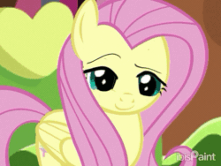 Size: 640x480 | Tagged: source needed, safe, artist:peanutfrogy, derpibooru import, discord, fluttershy, draconequus, pegasus, pony, g4, animated, chaos, duo, duo male and female, eye play, eyeroll, female, fluttershy's cottage, gif, ibispaint x, looking at each other, looking at someone, male, scared, scary, show accurate, stop sign, wat