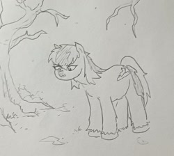 Size: 1291x1158 | Tagged: safe, artist:pony quarantine, derpibooru import, oc, oc only, oc:snow sitter, earth pony, pony, annoyed, female, grayscale, looking at something, looking down, mare, monochrome, pencil drawing, snow, snowpony (species), solo, taiga pony, traditional art, yakutian horse