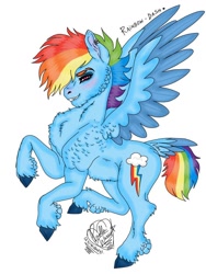 Size: 768x1024 | Tagged: safe, artist:pw-jkg-cherrys, derpibooru import, rainbow dash, pegasus, pony, g4, female, solo, spread wings, wings