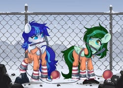 Size: 2048x1463 | Tagged: safe, artist:shelti, derpibooru import, oc, oc:eden shallowleaf, oc:snowflake flower, pegasus, ball and chain, belt, clothes, commissioner:rainbowdash69, cuffed, cuffs, duo, fence, jumpsuit, never doubt rainbowdash69's involvement, ornament, pegasus oc, prison outfit, shackles, snow, winter