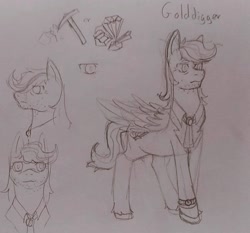 Size: 1103x1028 | Tagged: safe, artist:sugar lollipop, derpibooru import, oc, oc only, oc:golddigger, pegasus, male, paper, pegasus oc, pencil drawing, reference sheet, sketch, sketch dump, traditional art