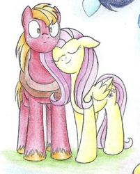 Size: 282x350 | Tagged: source needed, safe, artist:islamilenaria, derpibooru import, big macintosh, fluttershy, earth pony, pegasus, pony, g4, female, fluttermac, male, mare, shipping, stallion, straight, traditional art