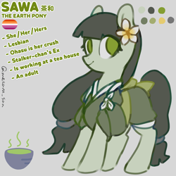 Size: 4096x4096 | Tagged: safe, artist:metaruscarlet, derpibooru import, oc, earth pony, pony, clothes, earth pony oc, english, flower, gray background, japanese, kimono (clothing), lesbian pride flag, pride, pride flag, reference sheet, simple background