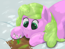 Size: 1697x1284 | Tagged: safe, artist:frilanka, derpibooru import, daisy, flower wishes, earth pony, pony, g4, dappled sunlight, flower, lying down, open mouth, prone, snow, solo, surprised, winter