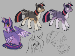 Size: 2048x1536 | Tagged: safe, artist:flightless-fox, derpibooru import, fluttershy, twilight sparkle, twilight sparkle (alicorn), alicorn, bird, eagle, pegasus, pony, rabbit, g4, alternate design, animal, chest fluff, claws, clothes, colored horn, ear fluff, ears, female, folded wings, gray background, horn, looking back, mare, partially open wings, raised hoof, raised leg, simple background, sitting, sketch, socks, striped wings, wings